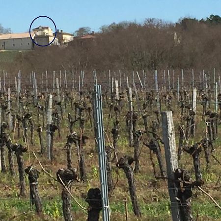 Superbe Gite A La Campagne Dans Le Bordelais Saint-Vivien-de-Blaye Eksteriør billede